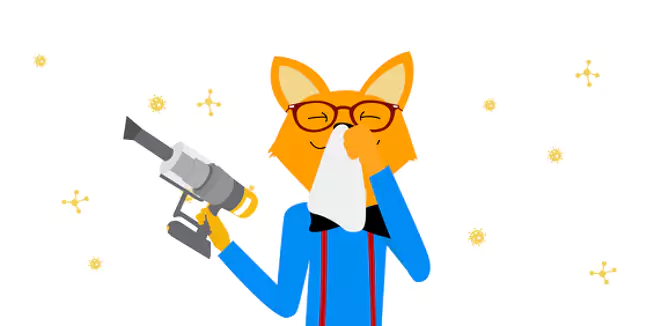 Filtre aspirateur balai Bosch